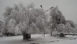 SP006.JPG